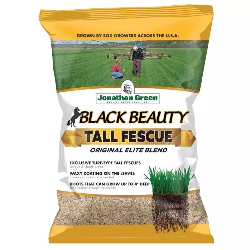 Black Beauty Tall Fescue Seed – 3 lb – Sun & Shade Lawn Solution